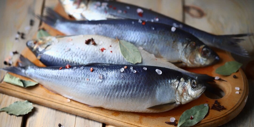 Достали! Теперь поводом для очернения СССР стала селёдка