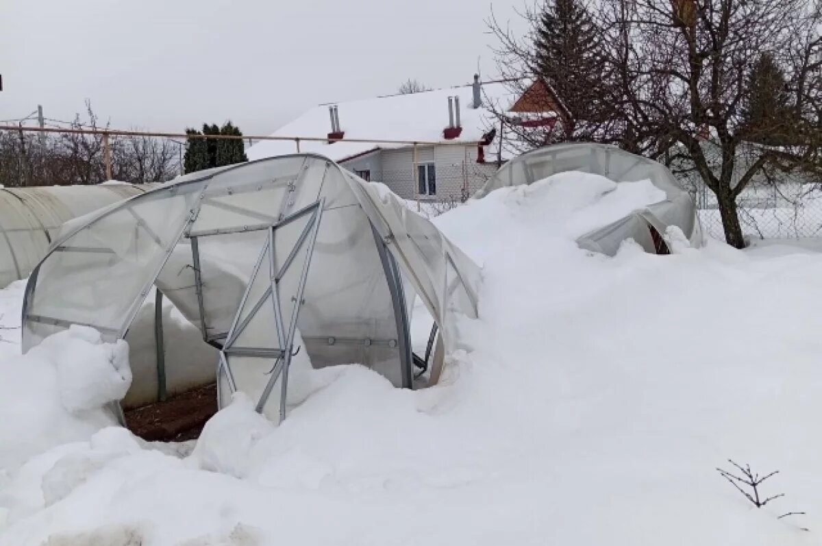    Вот какой ущерб нанесли снегопады новой теплице.