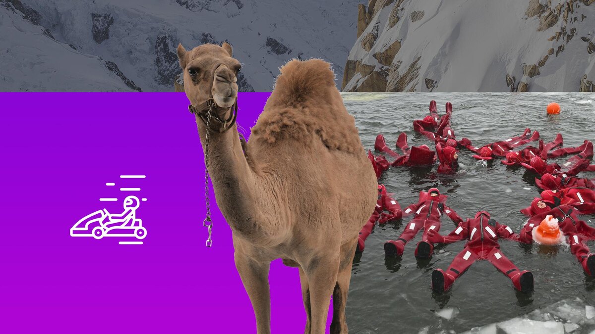 Коллаж 78.ru: Komsomolskaya Pravda/globallookpress.com, pxhere.com, pngwing.com, flaticon.com/Smashicons