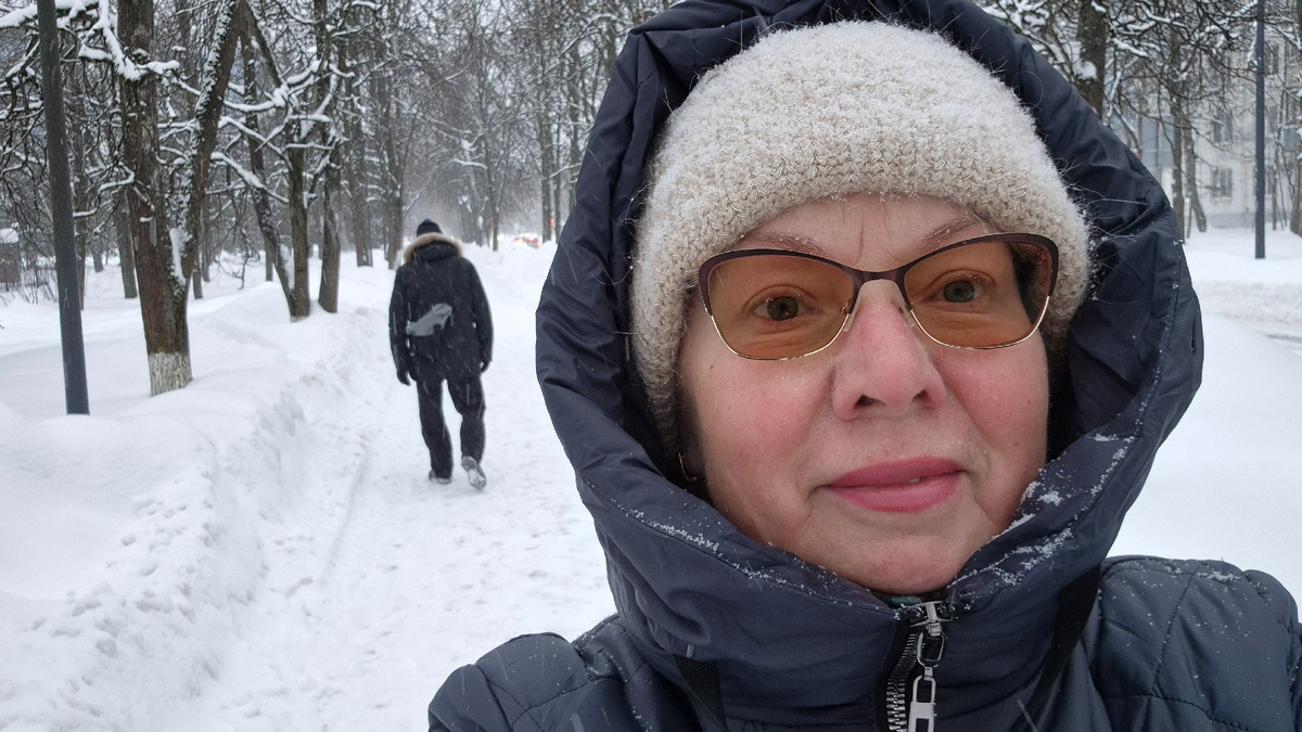 Опять метель 