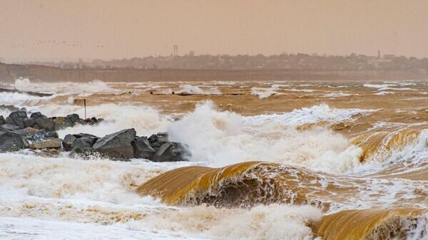    © РИА Новости Крым . Дмитрий Макеев