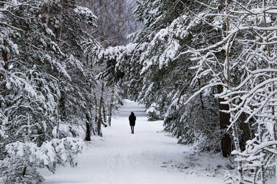    Shutterstock/FOTODOM