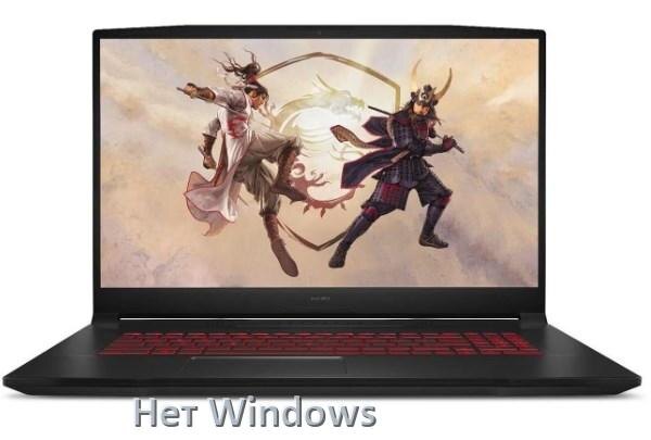 
Почему на ноутбуке MSI нет Windows что делать