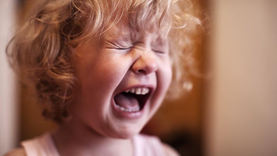 Развитие речи и у детей и детские истерики: есть ли связь?