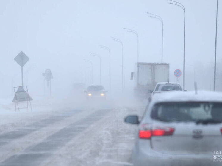     Фото: ИА "Татар-информ"