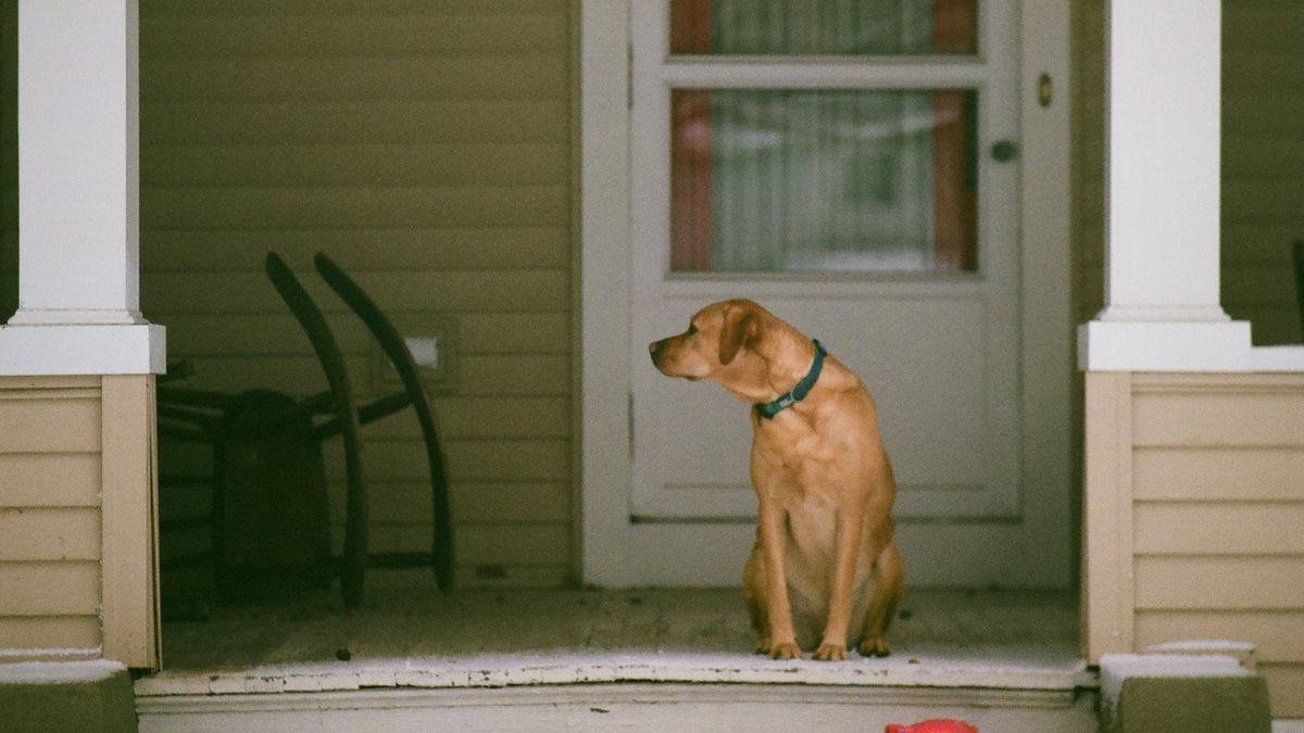    Фото несет иллюстративный характер