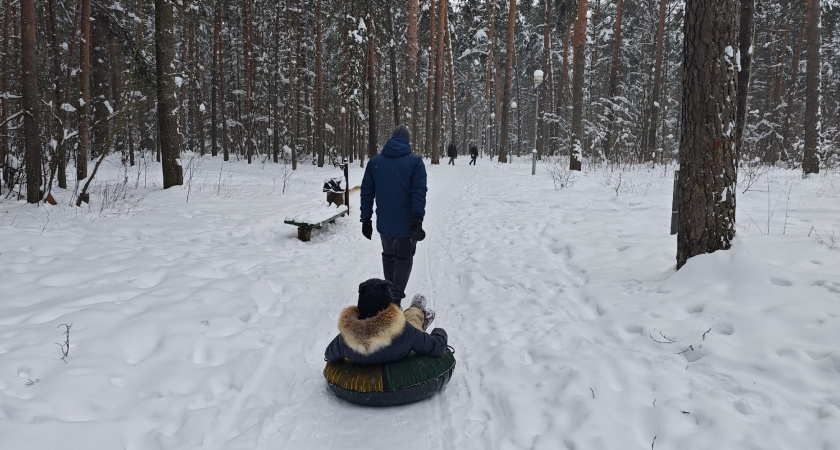    Фото progorod43.ru