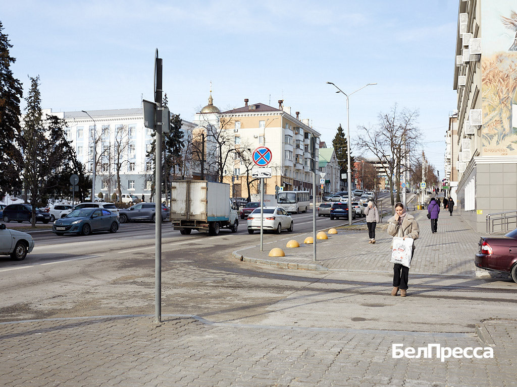     Фото: Елена Журавлёва