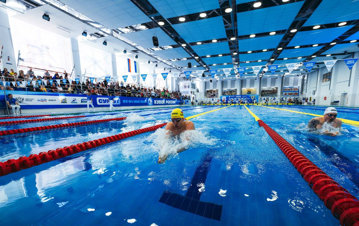    Фото: Телеграм-канал губернатора Магаданской области Сергея Носова