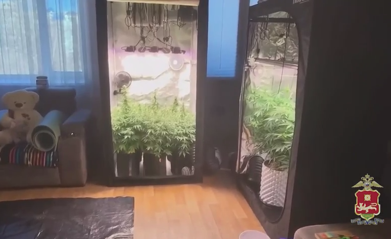 скриншот видео МВД по Хакасии