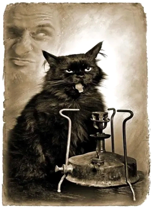 Починяю примус. Источник – ru.pinterest.com. Фотоиллюстрации Елены Мартынюк