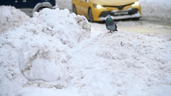    © Sputnik / Владимир Федоренко