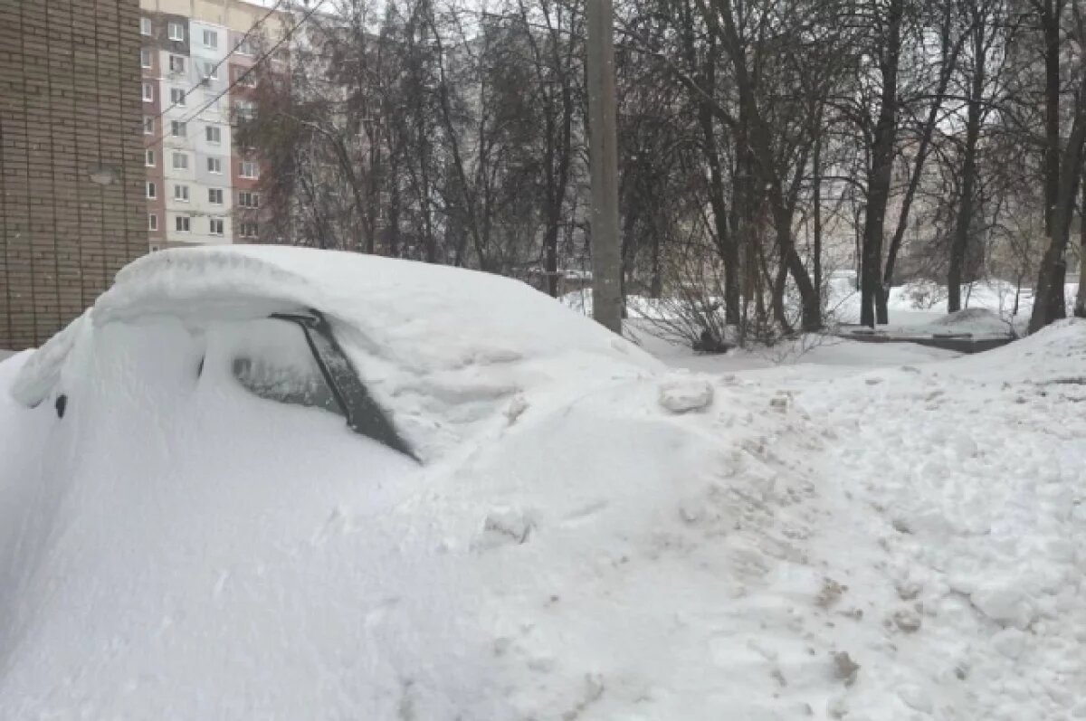    Сугробы в Тульской области местами приблизились к метровой высоте