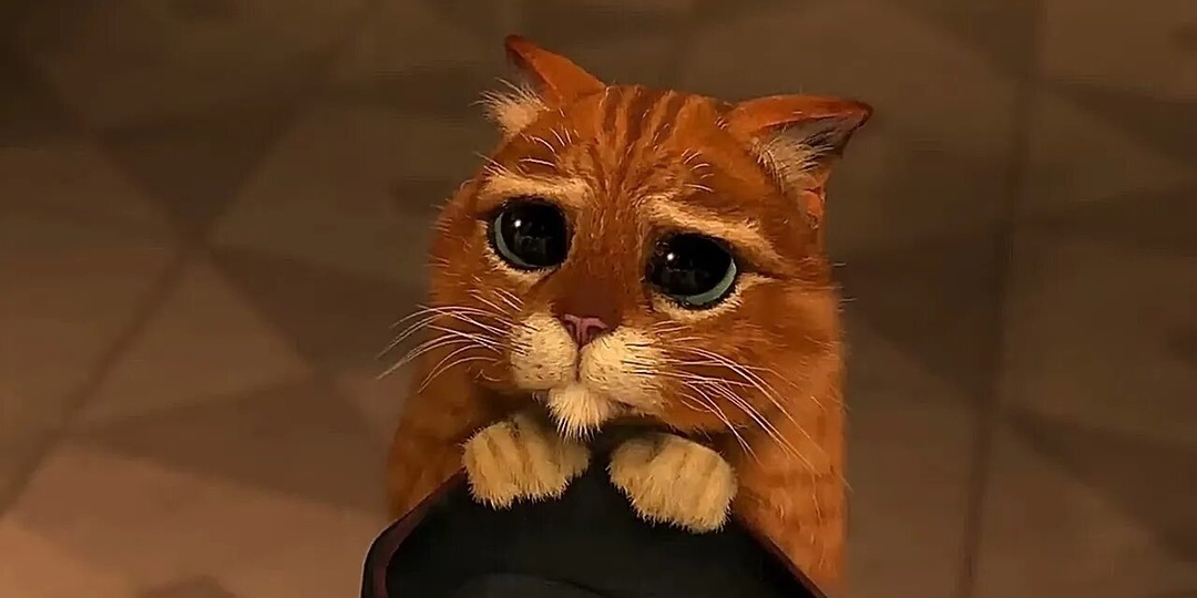 Об отпуске, который не состоялся🥺