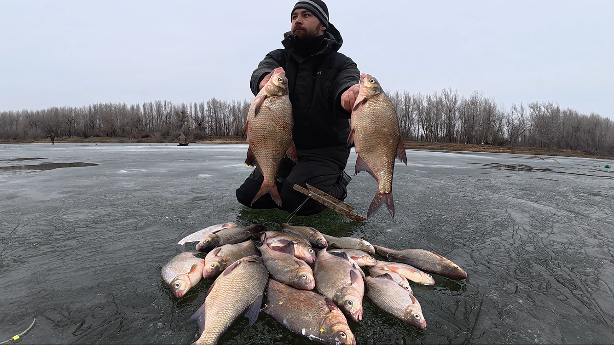 Лещи - лопаты.