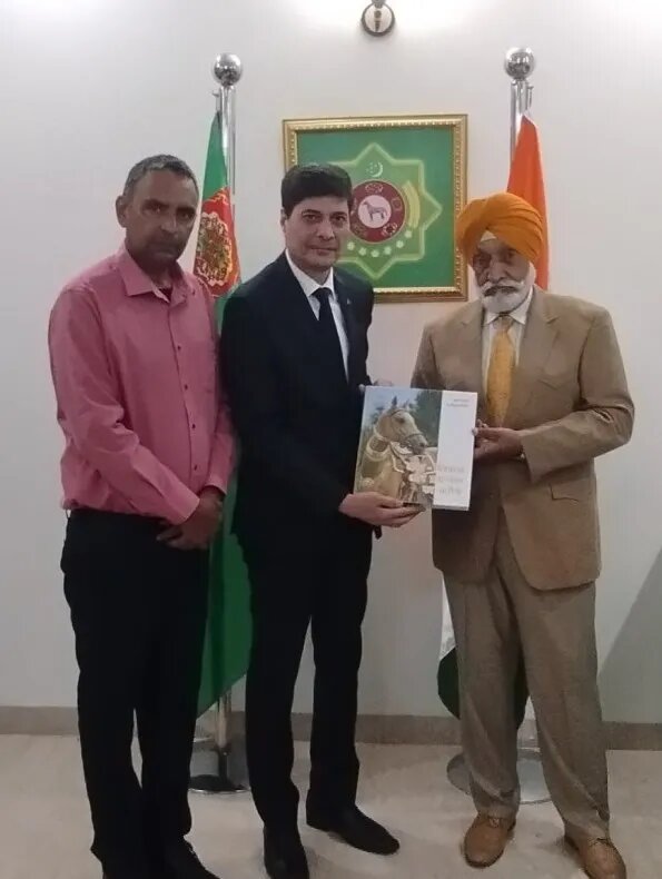    Цветокоррекция оригинального изображения была произведена с использованием ИИ "Ниязов 2.0"