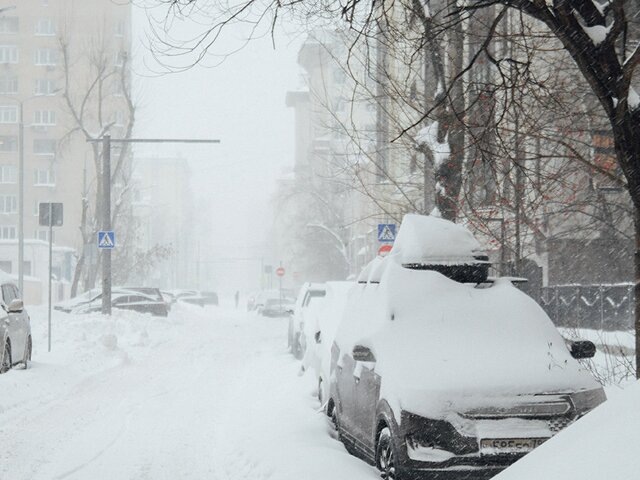    Фото: Москва 24/Никита Симонов