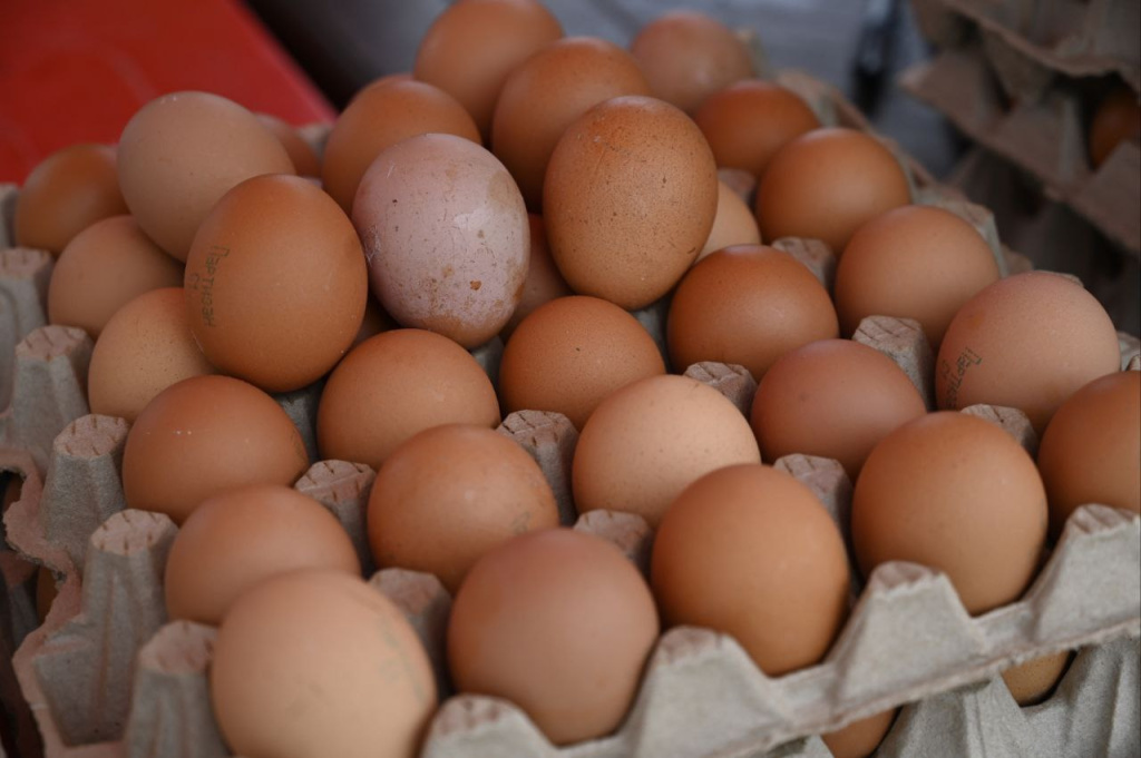 Фото: Гала Амарандо