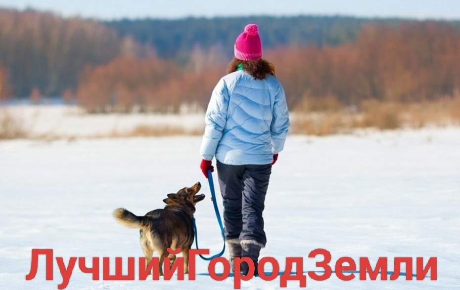 Иллюстрация автора