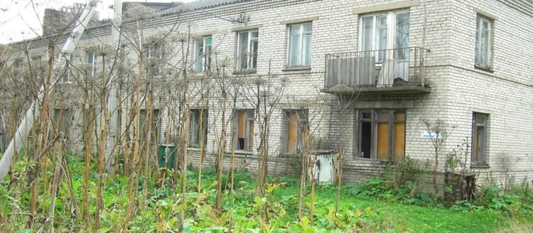    Фото: Филиал ФГБУ «Россельхозцентр» по Ленинградской, Мурманской областям и Республики Карелия