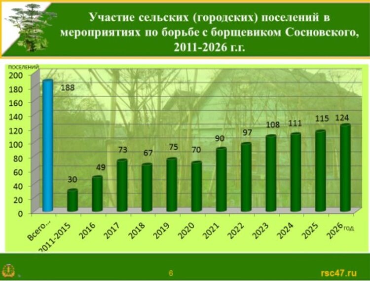 Источник: филиал ФГБУ «Россельхозцентр» по Ленинградской, Мурманской областям и Республики Карелия.📷    Агрохимическая прополка борщевика Сосновского в Ленобласти охватит более 6 500 га

