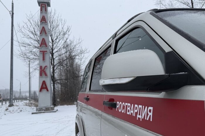 Название посёлка Палатка входит в список самых прикольных топонимов Дальнего Востока / фото: пресс-служба Росгвардии Магаданской области