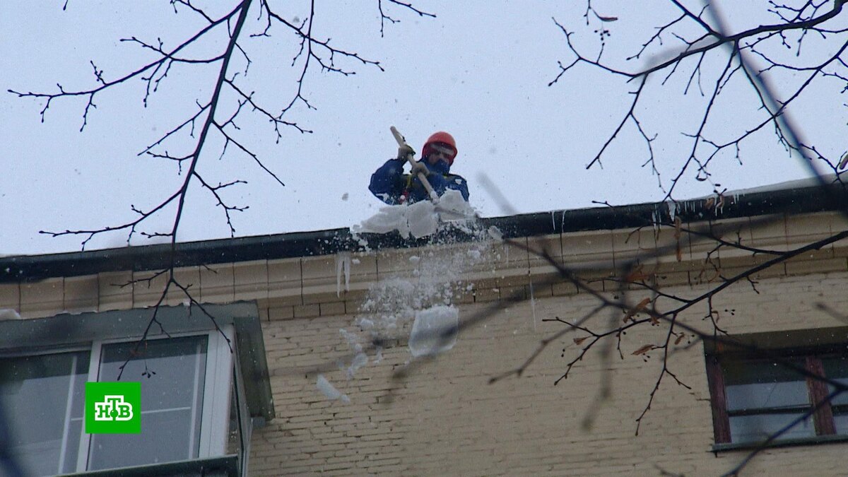    «Ни уборки, ничего, а деньги получают»: почему сосульки становятся убийцами