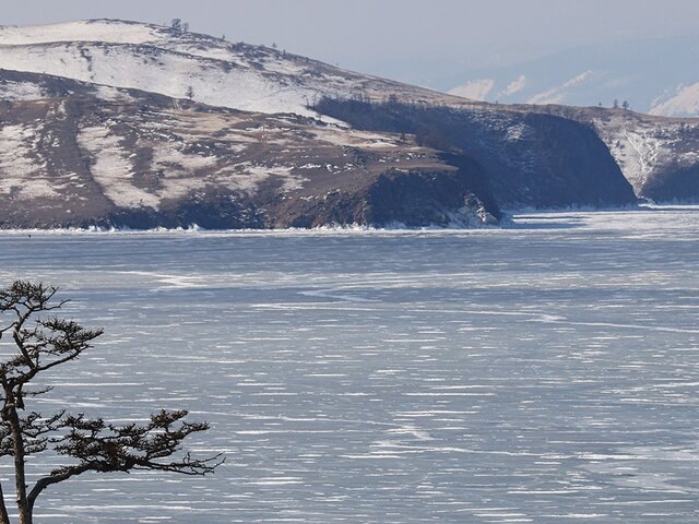    Фото: ТАСС/Александр Рюмин