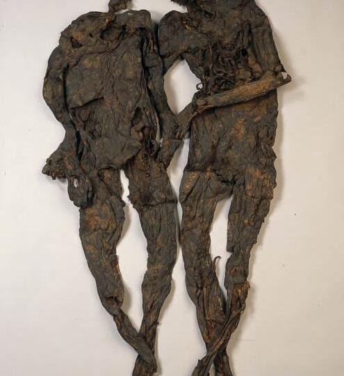 Этих мужчин убили 2000 лет назад. Когда их нашли, то свернули в рулон и упаковали в коробку