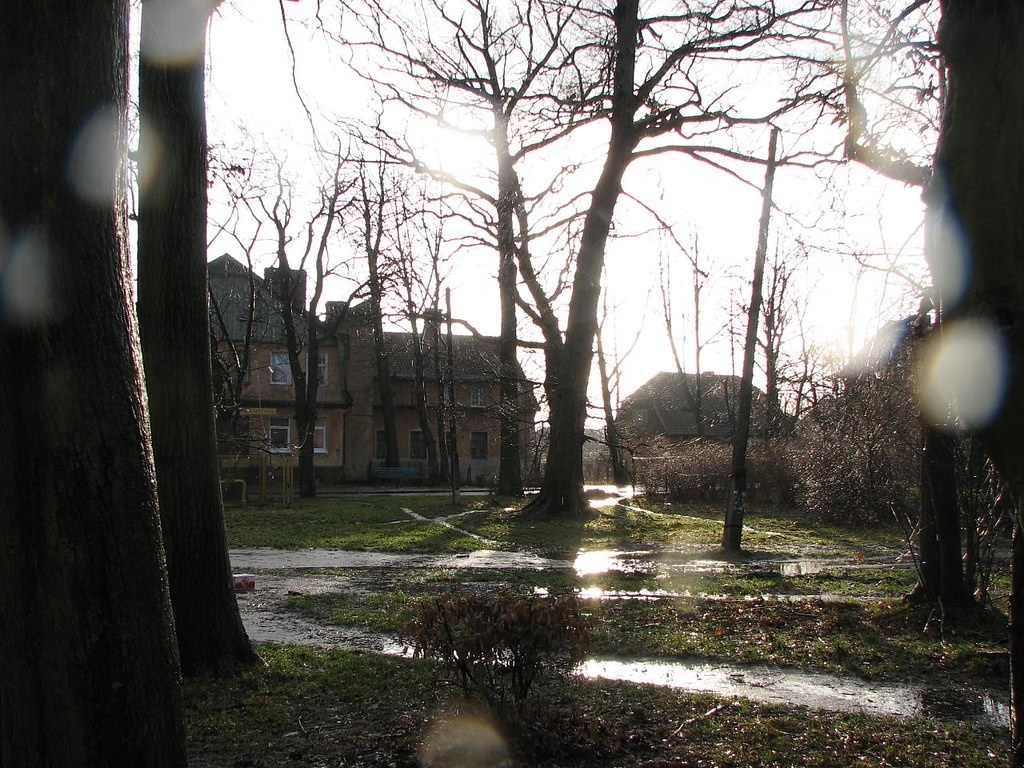 Автор фото Lev Yakupov / Flickr