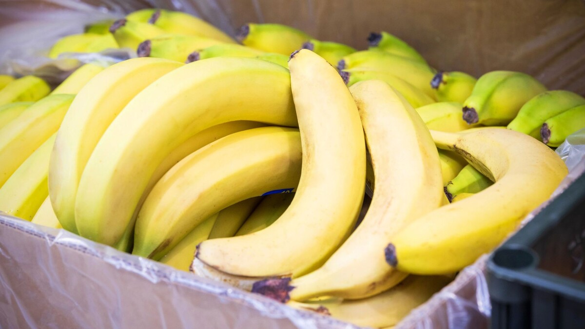    Фото: Федор Воронов / «Ямал-Медиа»