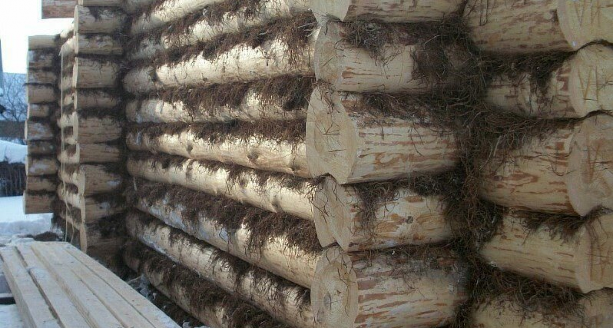    Фото Дзен-канала "Стеклянная сказка"