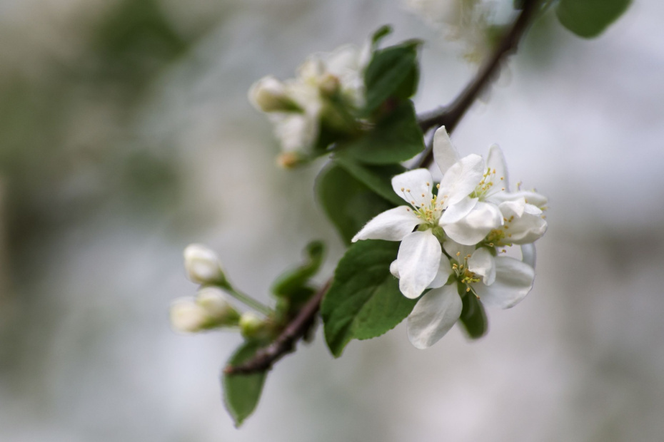    Алексей Белкин/NEWS.ru