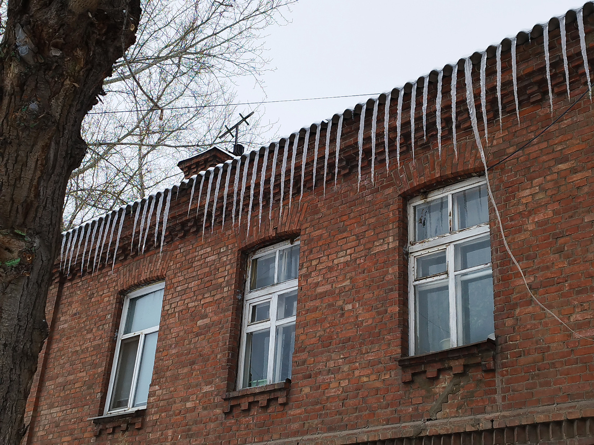 Капель. Фото из личного архива автора.