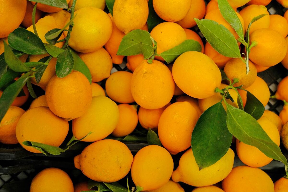 Фото: Евгений Летов