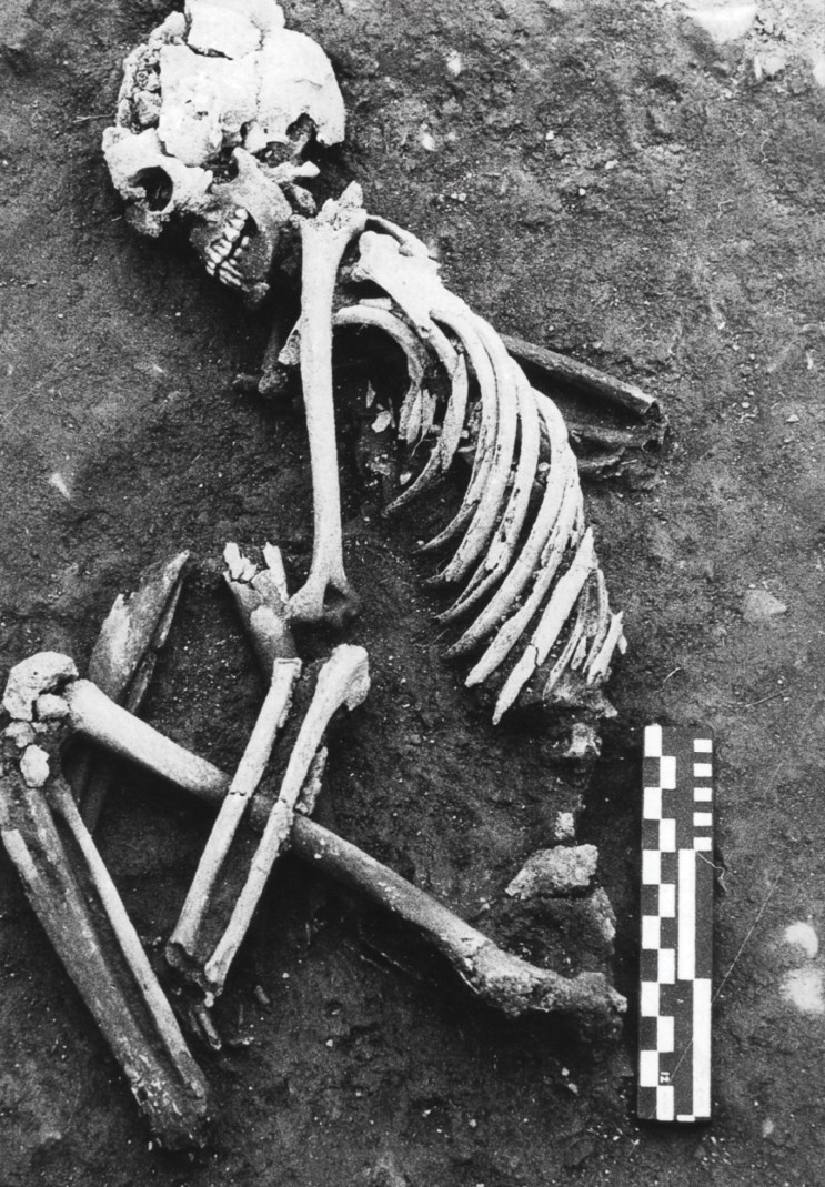 "Скорченное" погребение - телу придавали позу эмбриона