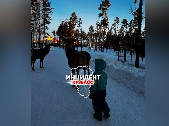    Фото: vk.com/incident_kuzbass