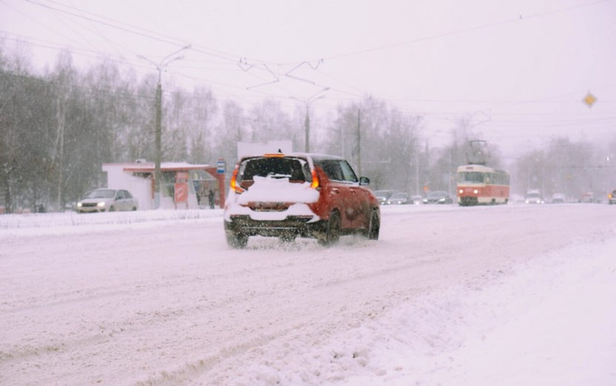    Рысь в городе, снег на голову и блокировка школьного проездного: что обсуждают ижевчане в соцсетях 20 февраля