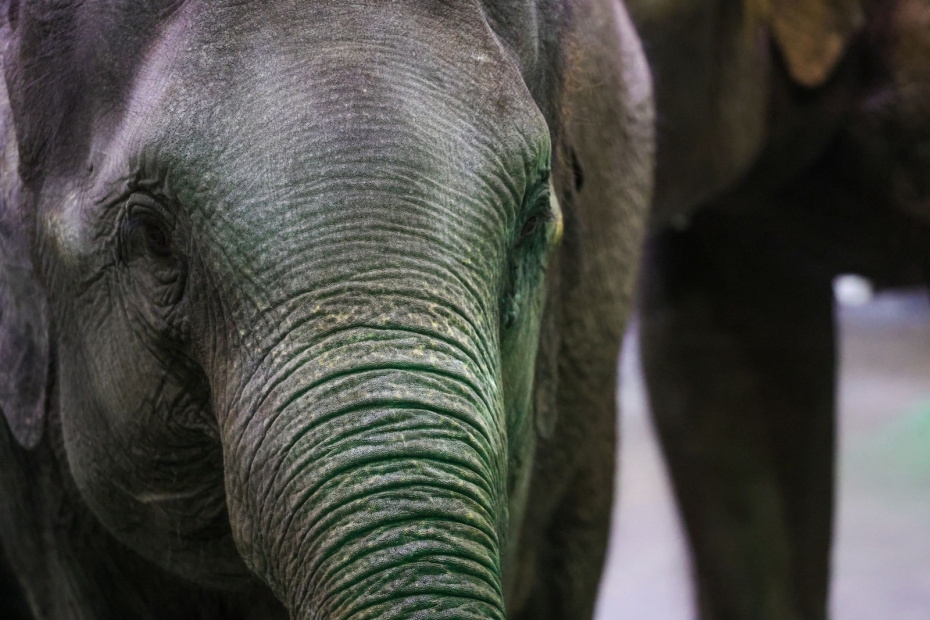    Наталья Шатохина/NEWS.ru