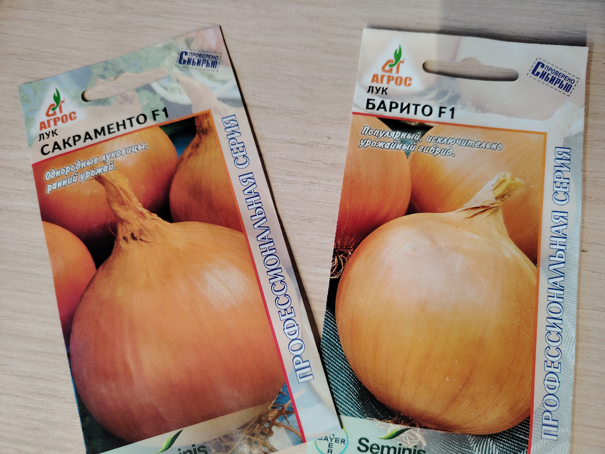 Семена лука Сакраменто и Барито