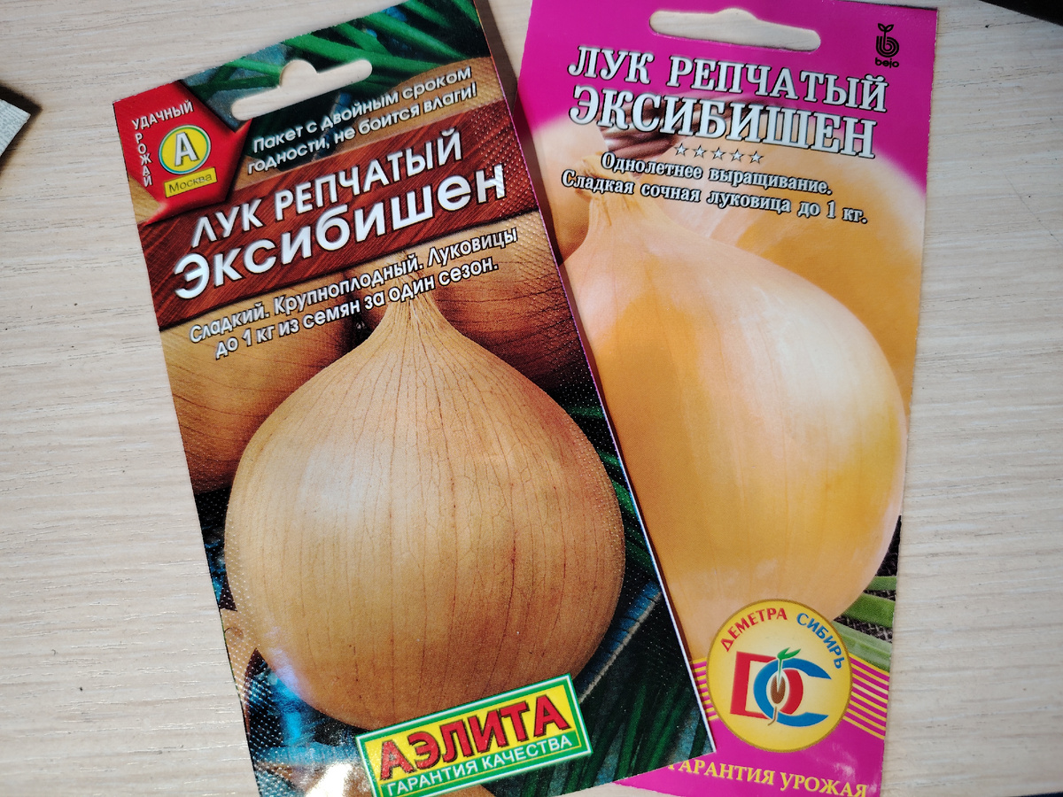 Сорт лука Эксибишен