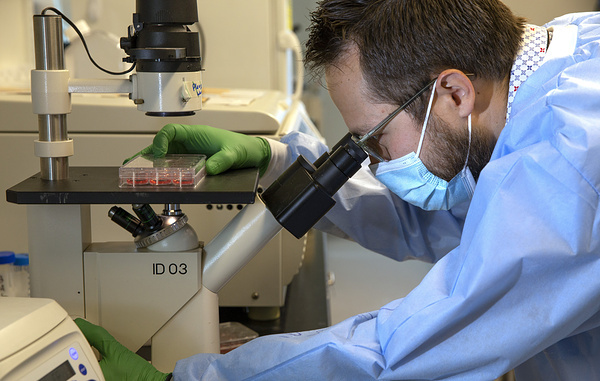 Karen Ducey/Getty Images