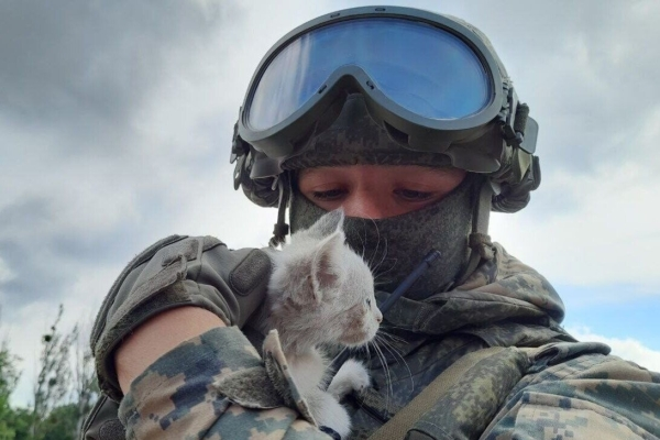 Из открытого источника