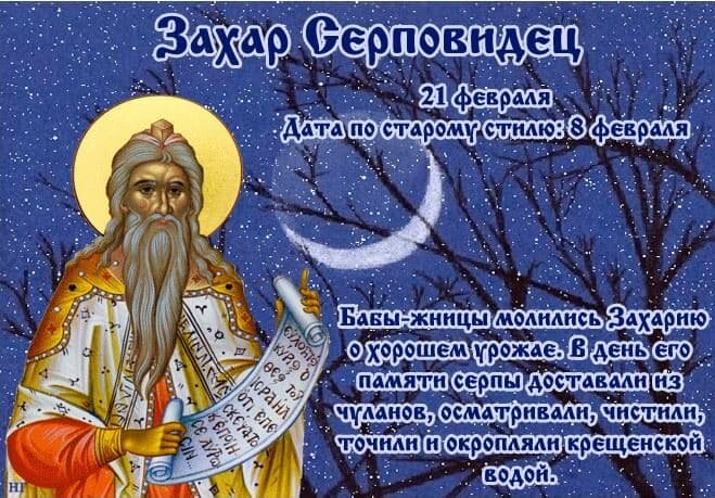 фото с яндекс картинок