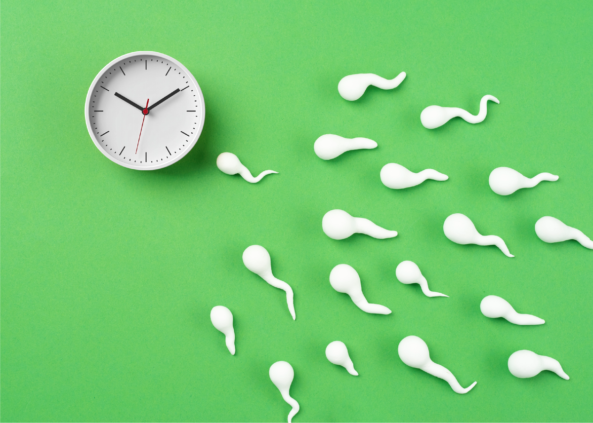 Фото из фотобанка