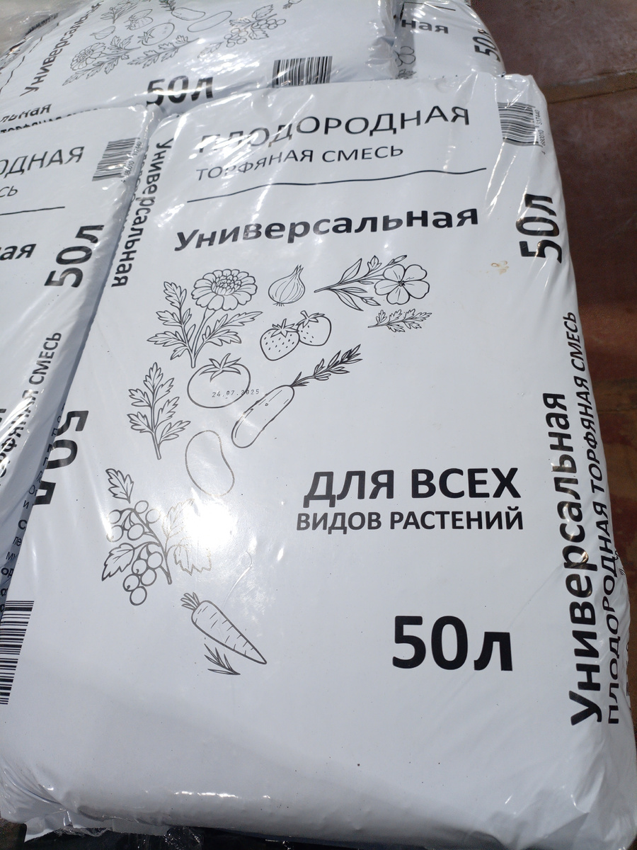 Фото сделано автором канала