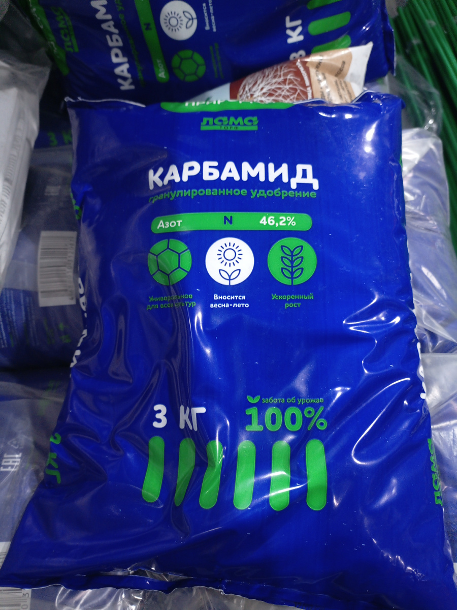 Фото сделано автором канала