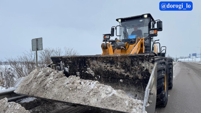 Фото: Dorogi_lo/telegram