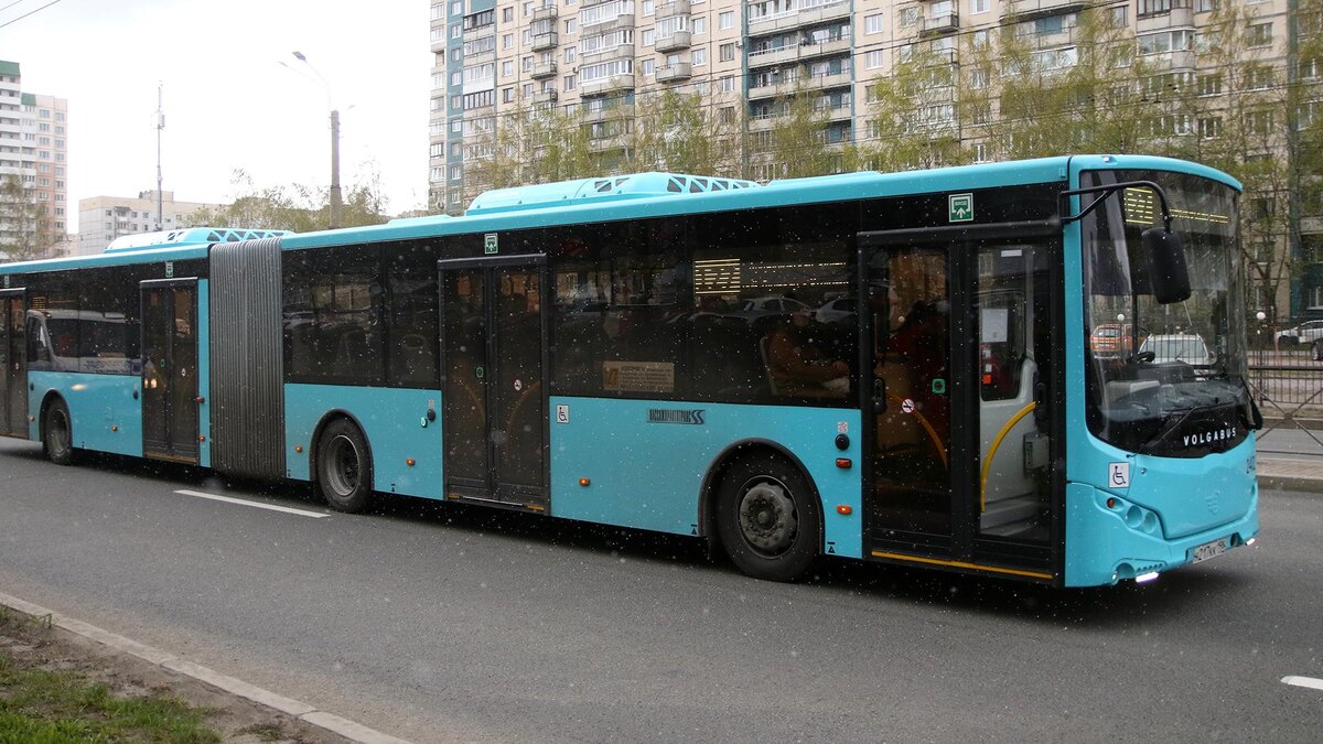    Фото: Maksim Konstantinov/globallookpress.com