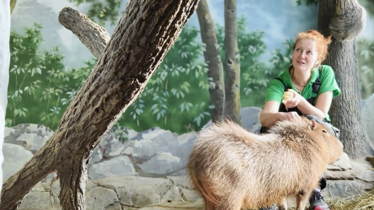 Фото предоставлено Тульским экзотариумом